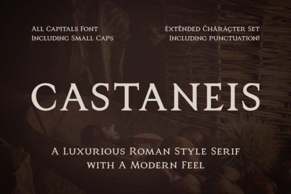 Castaneis: Roman-Inspired Serif Font for Modern Branding
