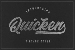 Quicken: Capturing Vintage Charm for Modern Design